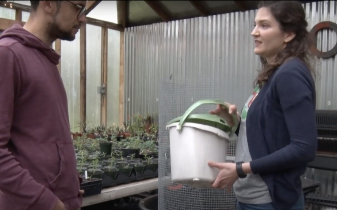 video screencapture of James and Kelly in greenhouse in front of homemade compost bin